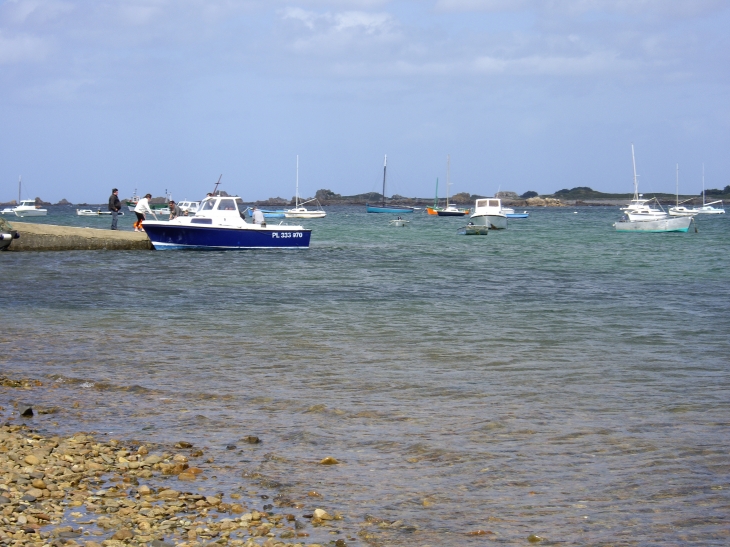 Port du Castel - Plougrescant