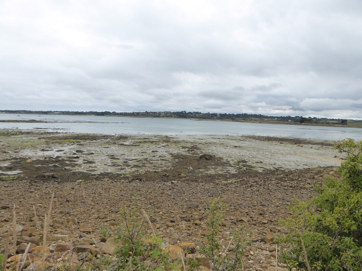 Sur-le GR34 sentier des douaniers - Plougrescant