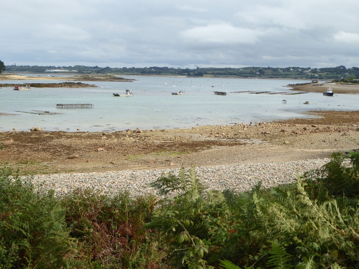 Sur le GR 34 sentier des douaniers - Plougrescant