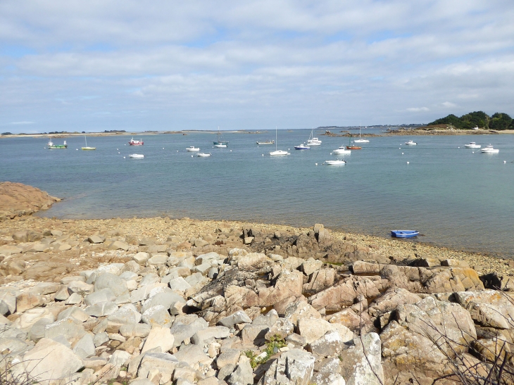 Sur-le GR34 sentier des douaniers - Plougrescant