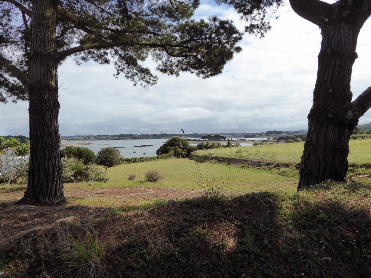 Sur le GR 34 sentier des douaniers - Plougrescant