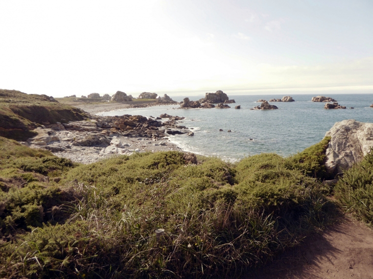 La pointe du château - Plougrescant