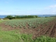 Photo suivante de Plougrescant sur le GR 34 sentier des douaniers