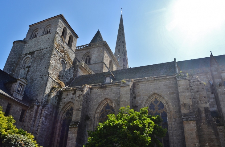  Cathédrale Saint-Tuqdual - Tréguier