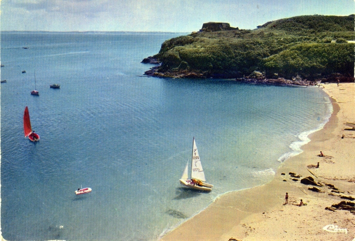 Pointe de Bertheaume et le Fort (carte postale vers 1960) - Plougonvelin