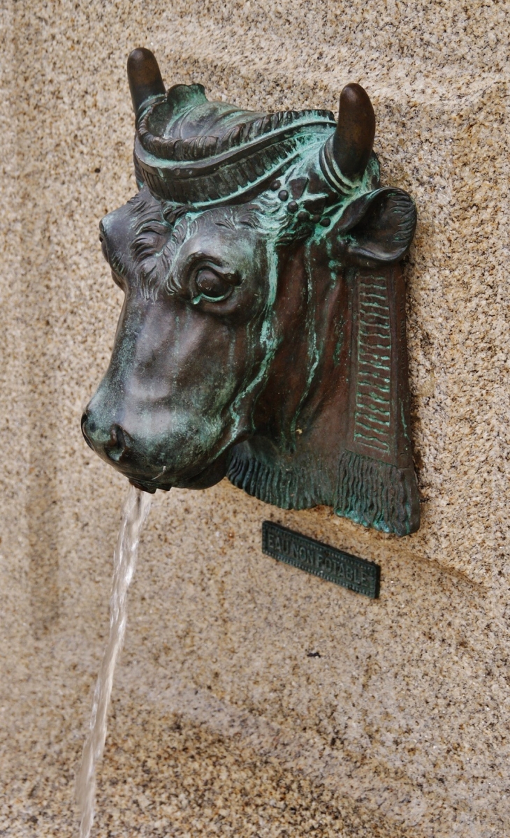 Fontaine ( Détail ) - Dol-de-Bretagne