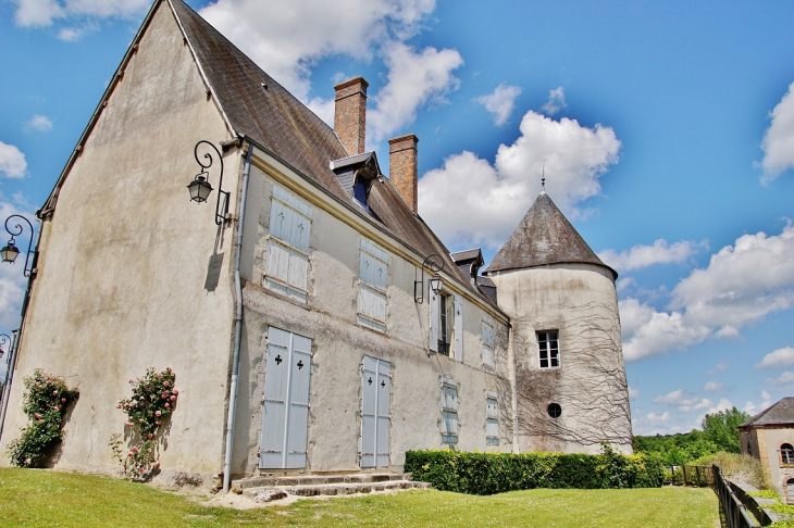   église Saint-André - Argent-sur-Sauldre