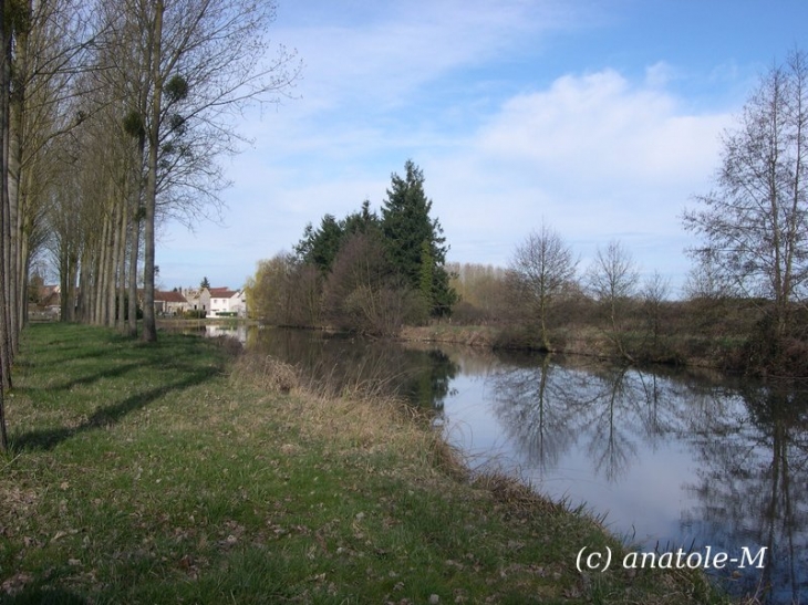 Etang du gué au roi - Argenvières