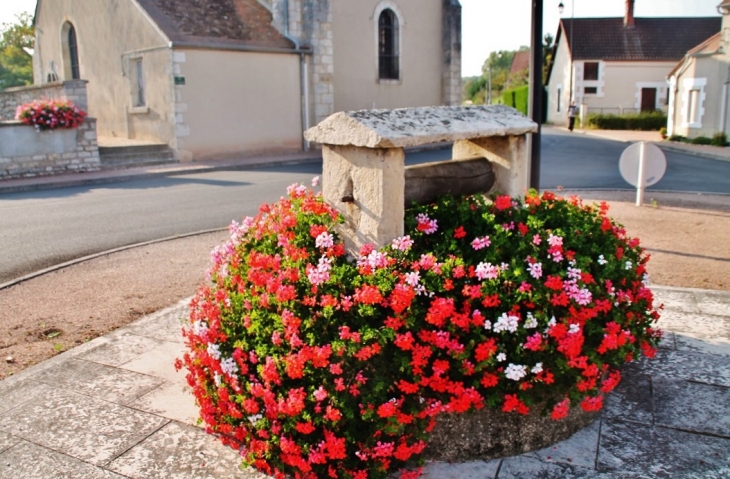 Le Puits - Argenvières