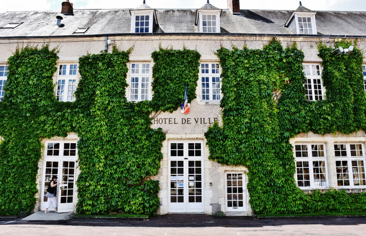 Hotel-de-Ville - Aubigny-sur-Nère
