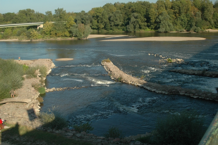 Bord de rivière  - Cuffy