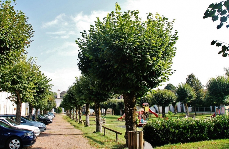 Parc de la Mairie - Jouet-sur-l'Aubois