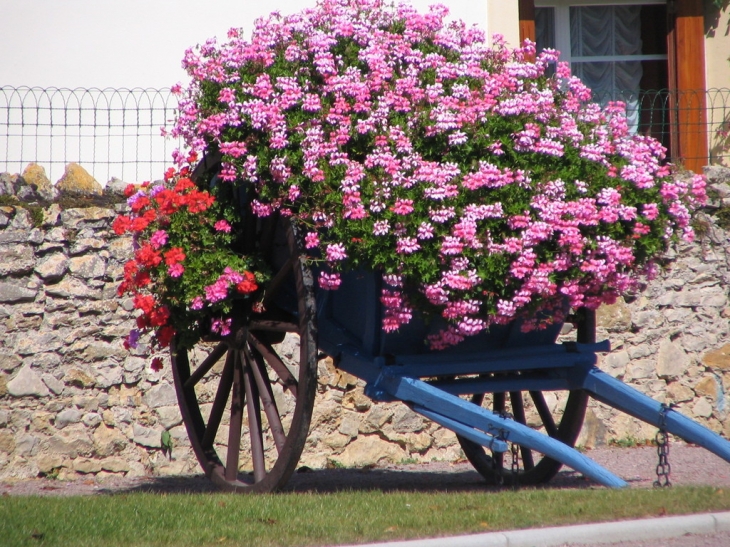 Fleurs à La Groutte