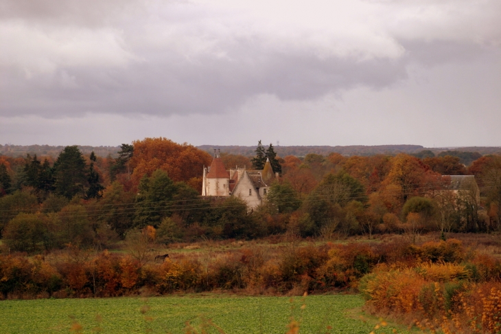 Chateau de la mothe - Marçais