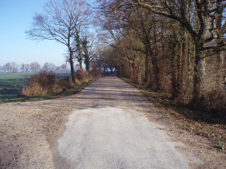 Chemin de la Chambellerie à la Coudre - Méreau