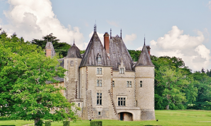  Château de la Verrerie - Oizon