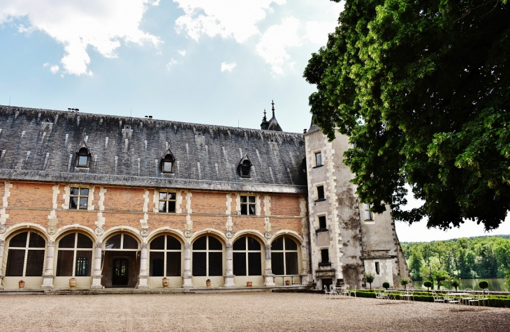  Château de la Verrerie - Oizon