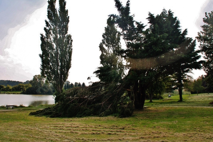 Le Lac - Précy