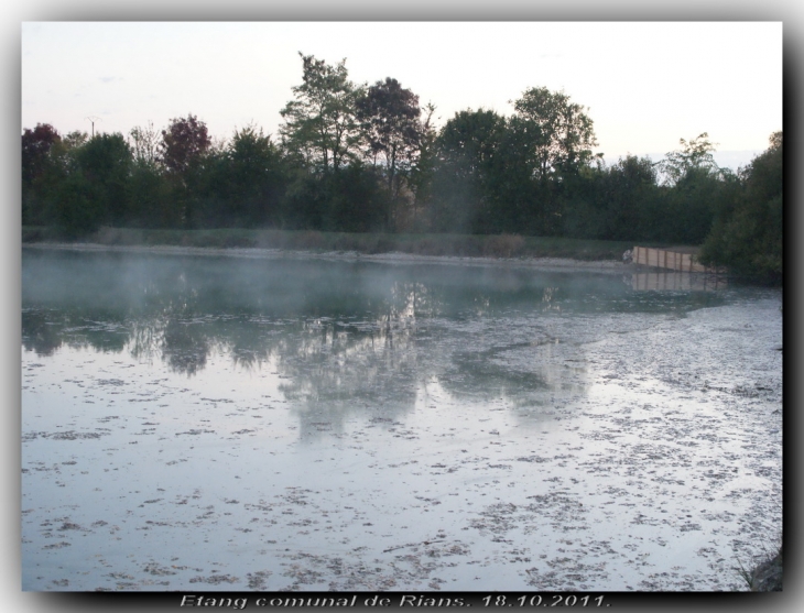 Etang communal le matin de bonheur. - Rians