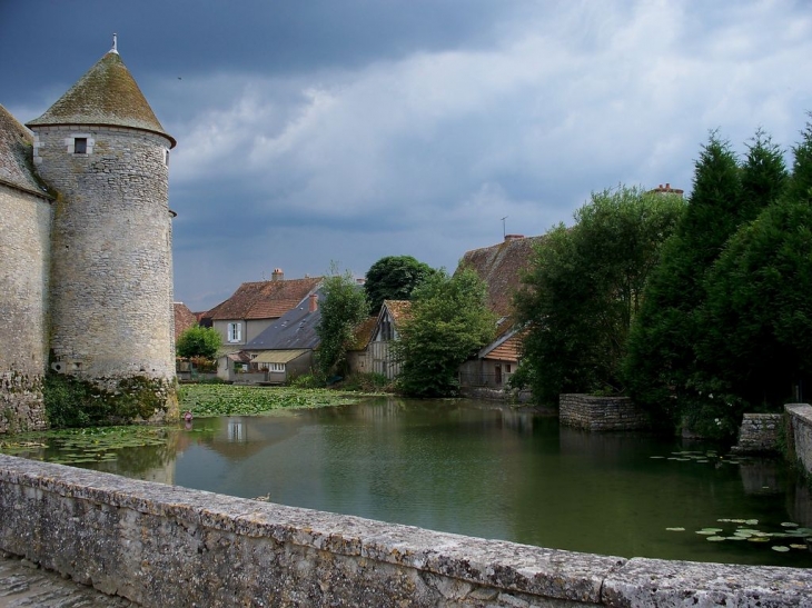 Douves du château de Sagonne