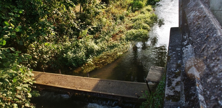 Le Boisseau - Saint-Bouize