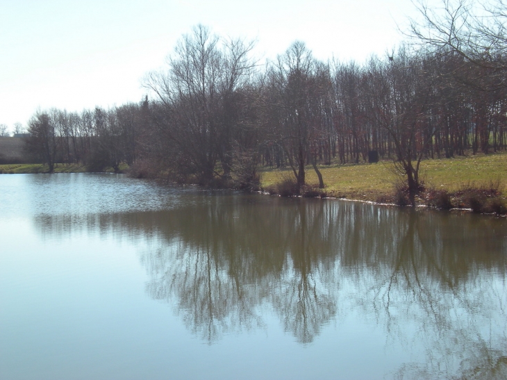 Etang de Bois Doré - Saint-Pierre-les-Bois