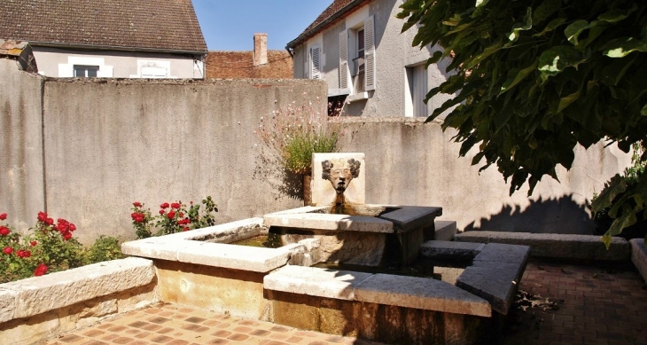 La Fontaine - Sury-en-Vaux