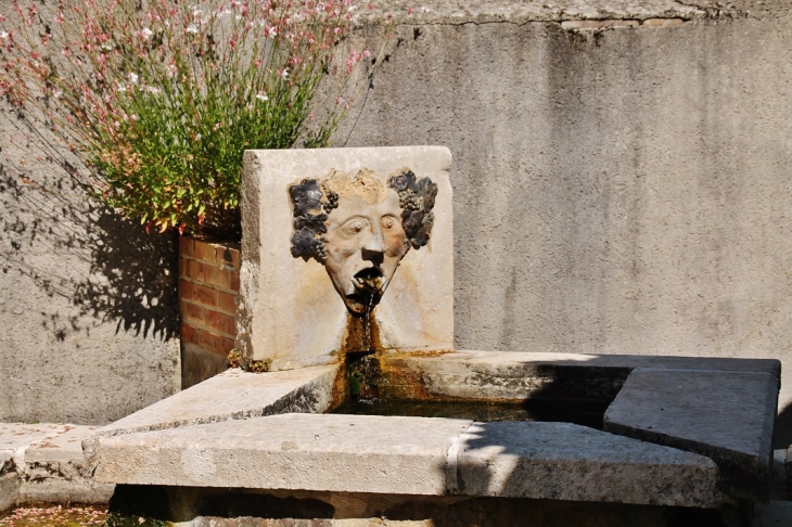 La Fontaine - Sury-en-Vaux