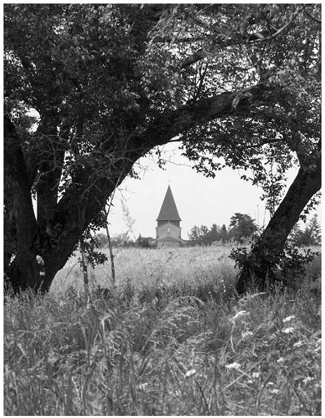 Eglise de Saint Martin - Vierzon