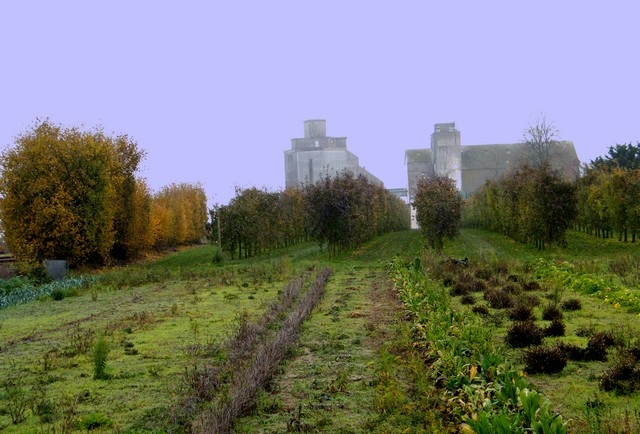 La campagne... - Bailleau-le-Pin