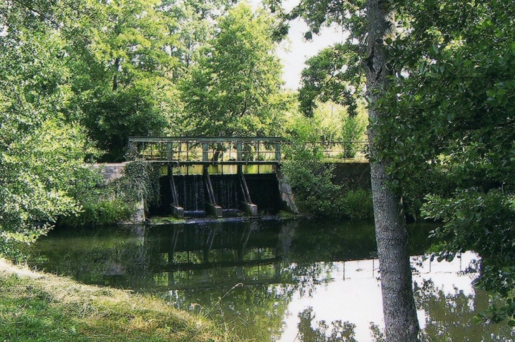 Vannage de la rivère: l'Yerre - Chapelle-Royale