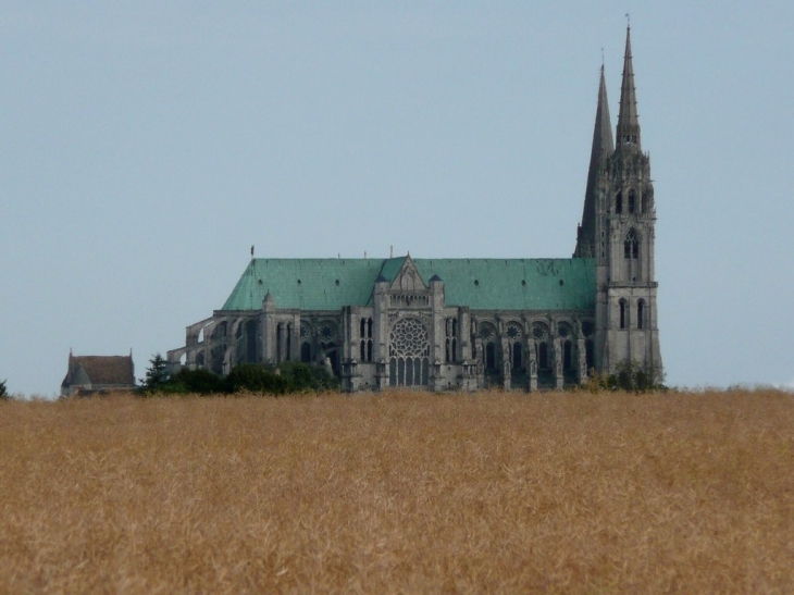 La cathédrale - Chartres