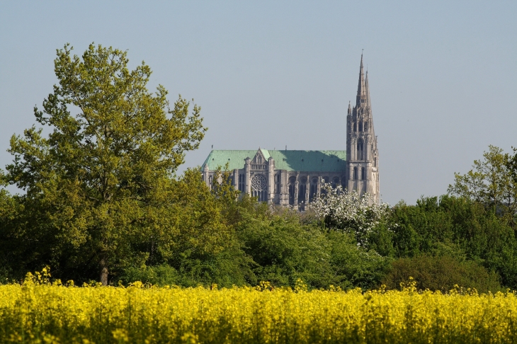 Horizons - Chartres