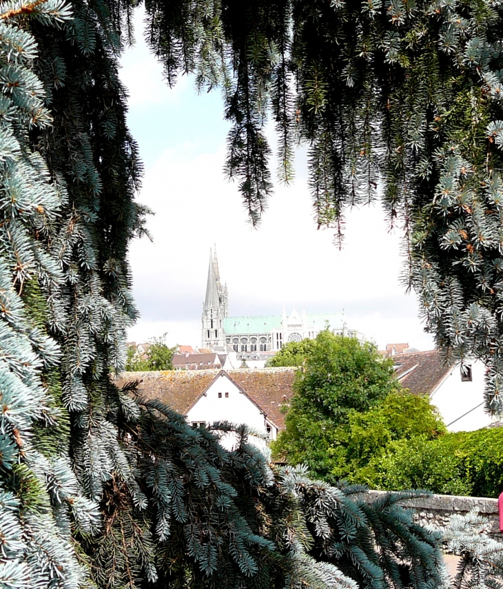 La cathédrale vue de la basse ville. - Chartres