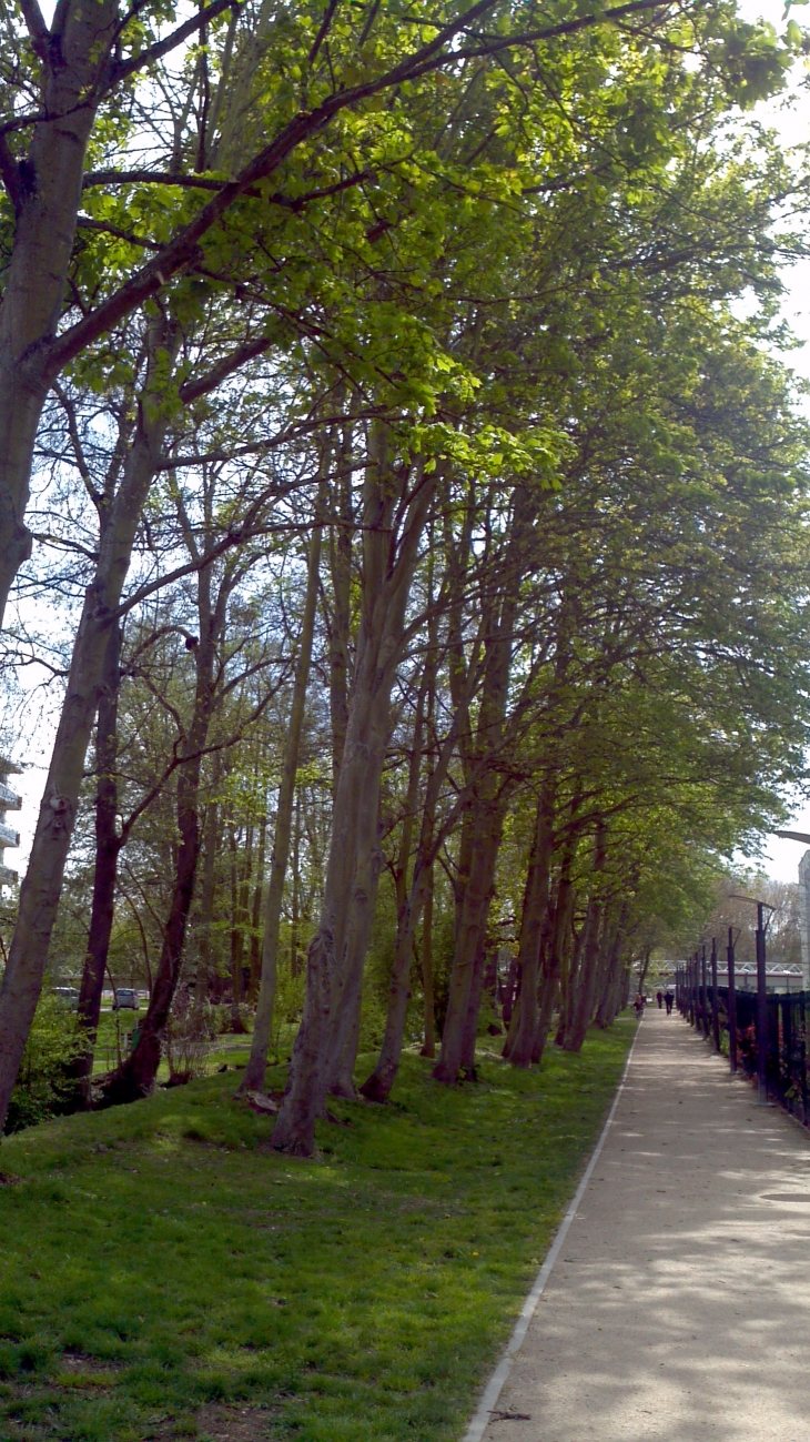 Sentier Rotrou entre la Blaise et le lycée  - Dreux