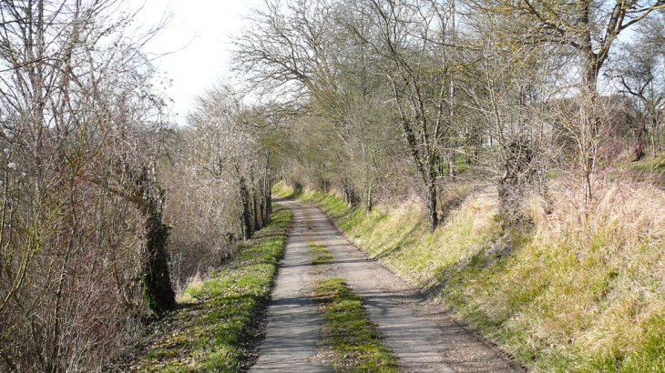 La Rue de la Correspondance - Gilles