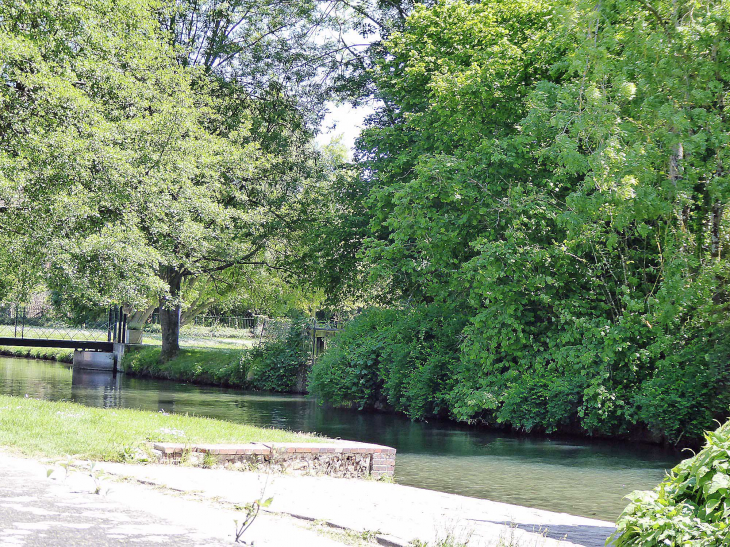 Au bord du Loir - Illiers-Combray