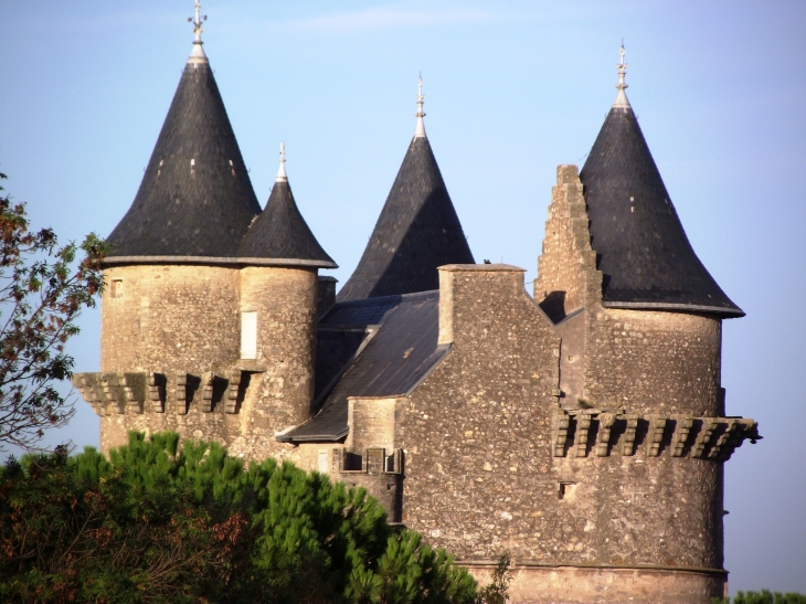 Tour du chateau avant travaux - Margon