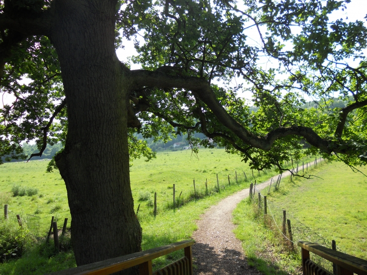 Au pied de la passerelle Dionval  - Saint-Piat