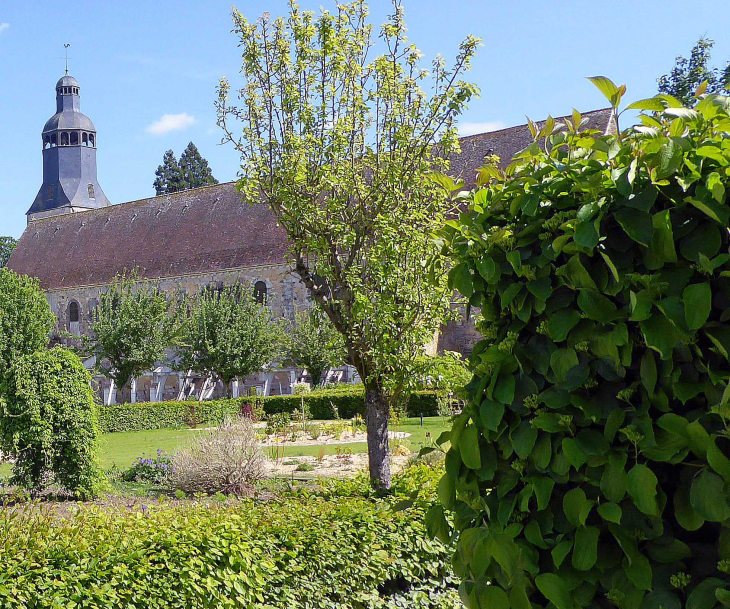 église abbatiale Sainte Trinité vue du jardin de l'abbaye - Thiron Gardais