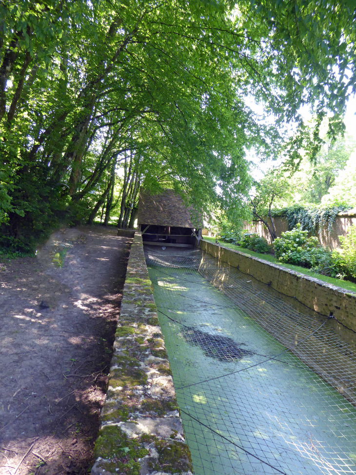 Le lavoir dans le jardin - Thiron Gardais