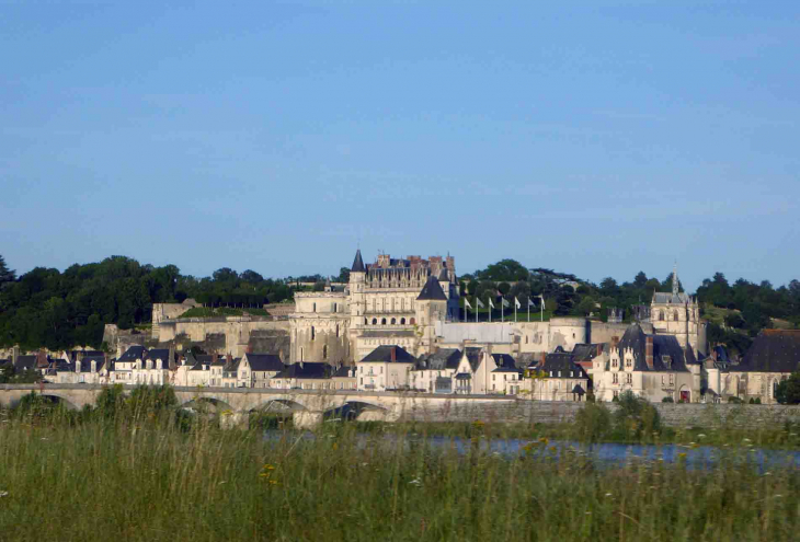 La ville vue de l'autre rive de la Loire - Amboise