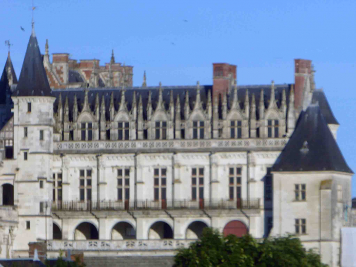 Le château vu de l'autre rive de la Loire - Amboise