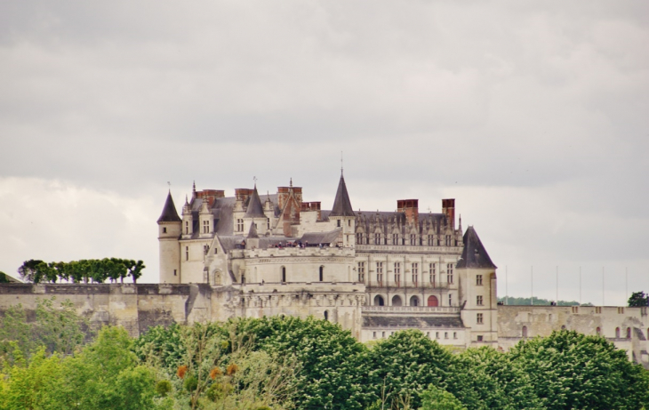 Le Château - Amboise