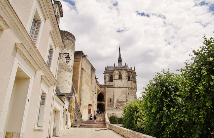 Le Château - Amboise