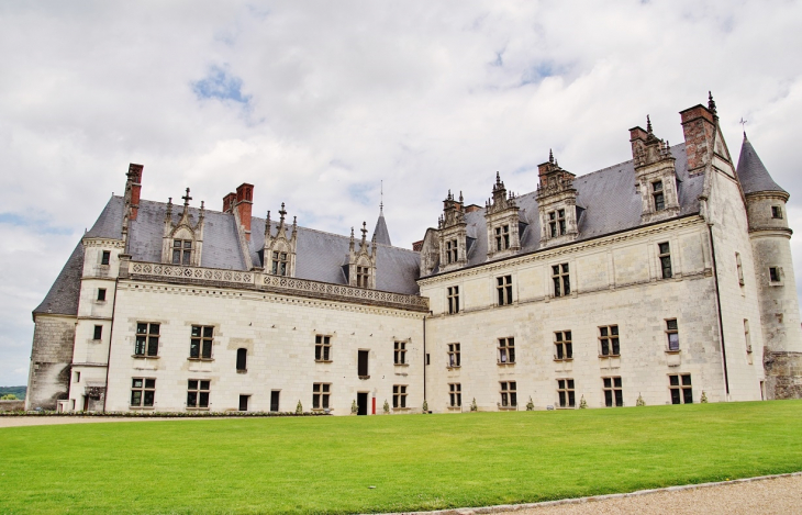 Le Château - Amboise