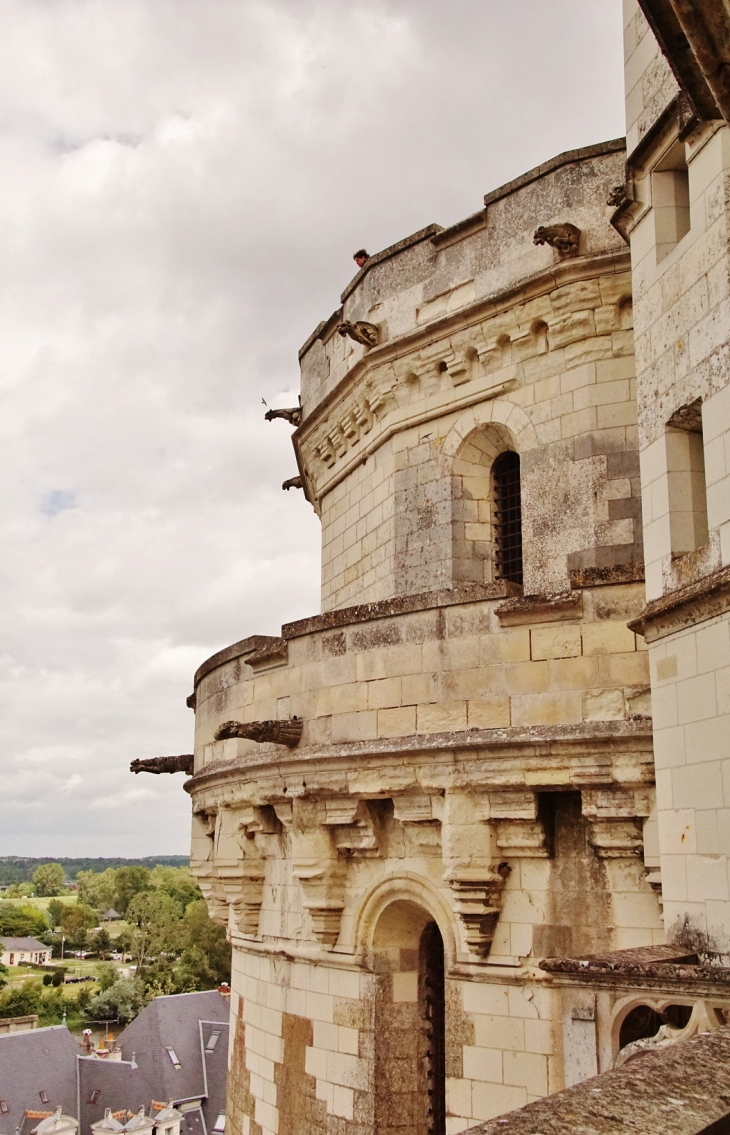 Le Château - Amboise