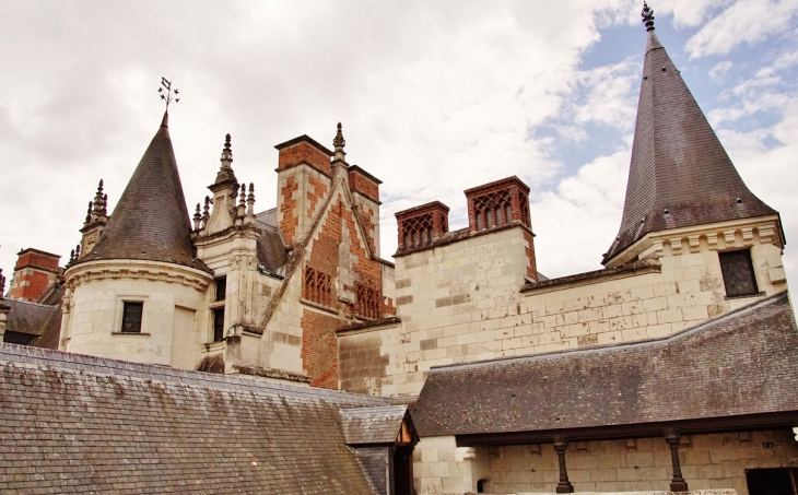 Le Château - Amboise