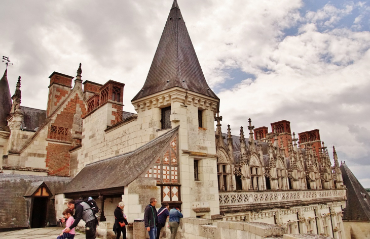 Le Château - Amboise