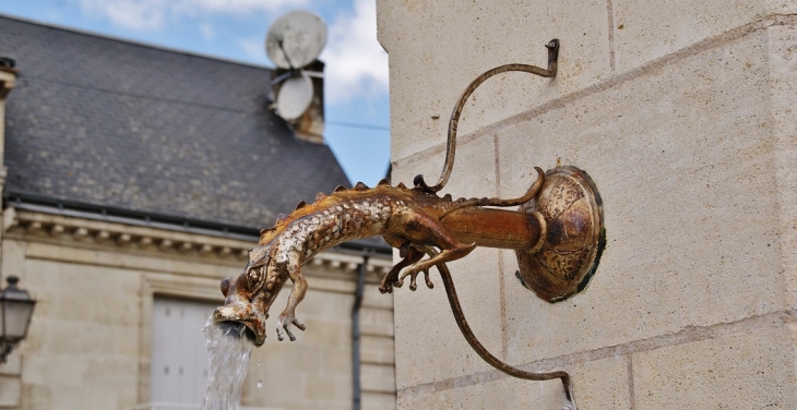 Fontaine ( détail ) - Azay-le-Rideau